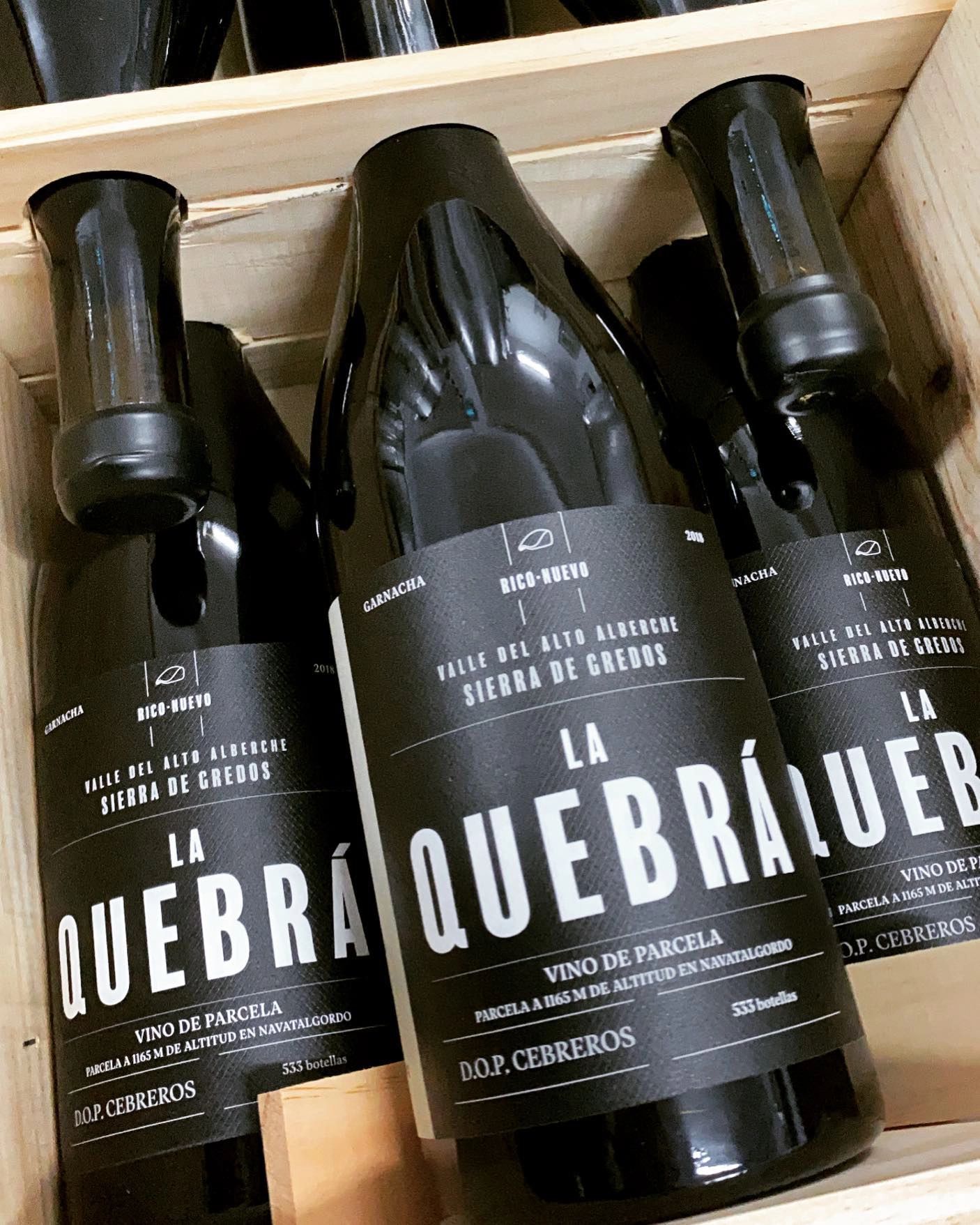 vino dop cebreros