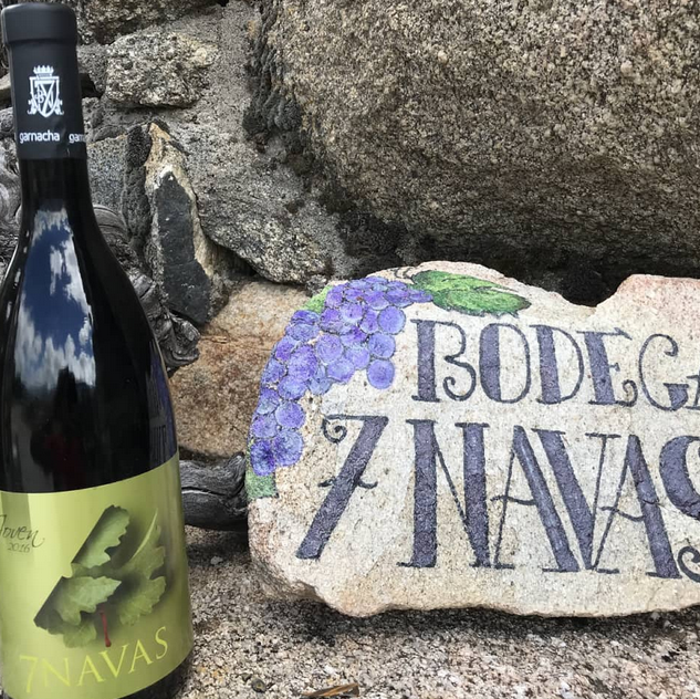 Bodega Garnacha Alto Alberche 3