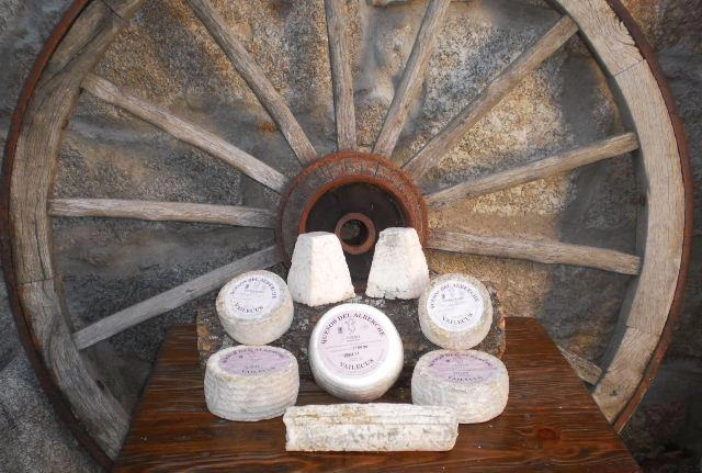 quesos artesanales de gredos