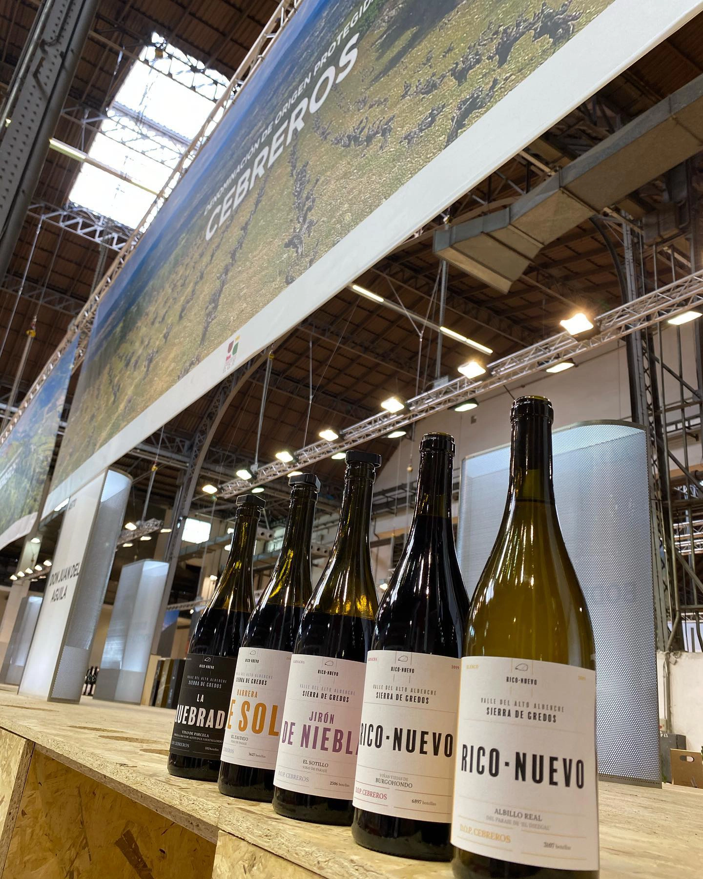 gama de vinos de Rico Nuevo Viticultores