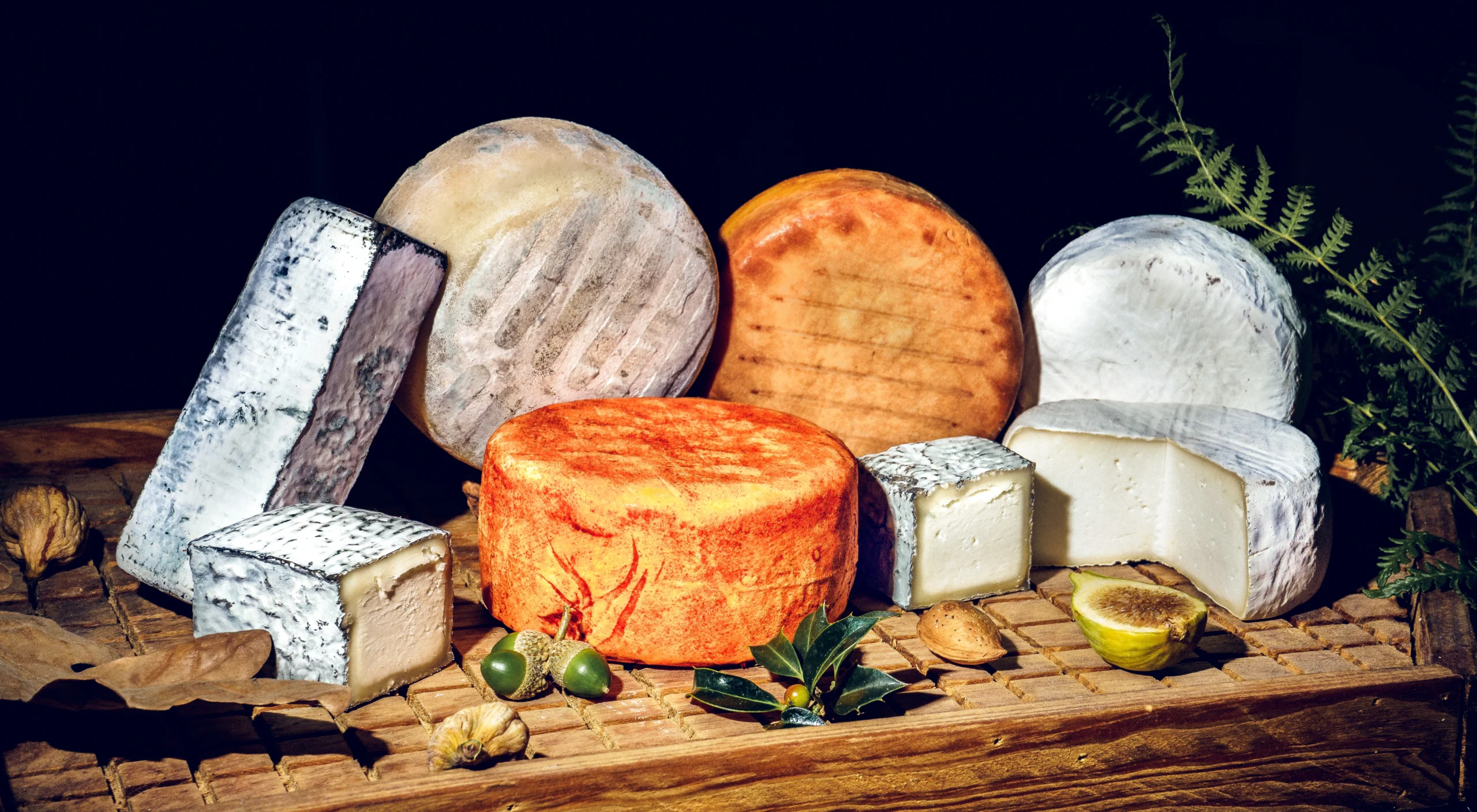 AME__221