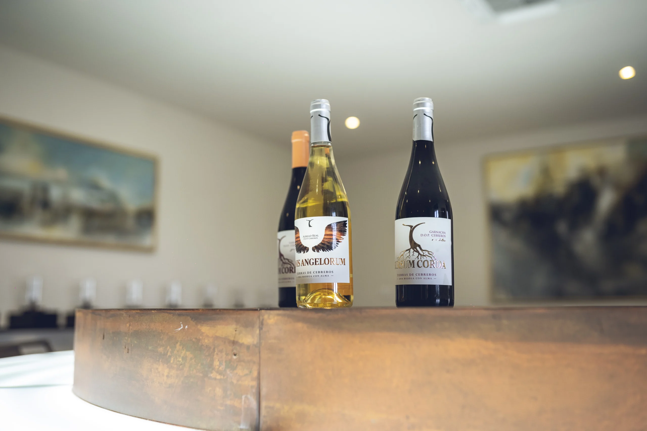 gama de vinos bodega Tierras de Cebreros