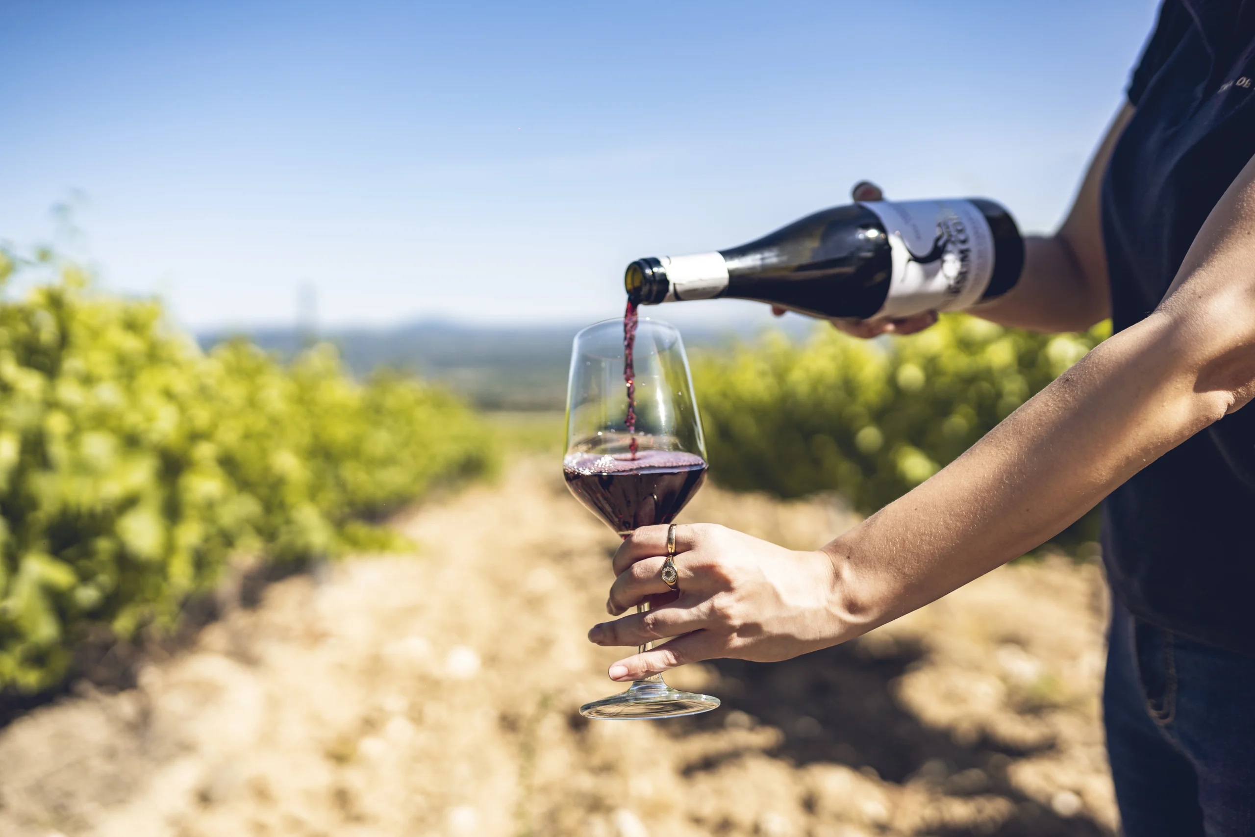 vino tinto garnacha de avila