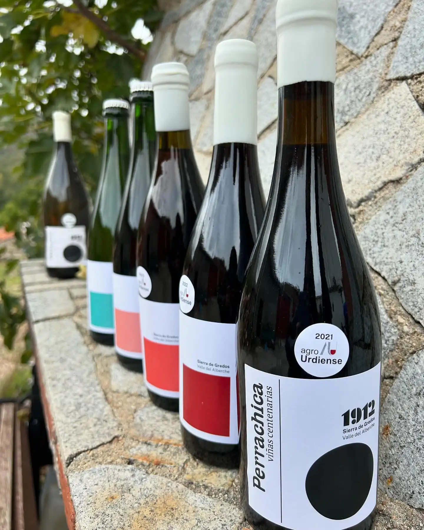variedad de vinos de uva garnacha de la bodega Agrourdiense