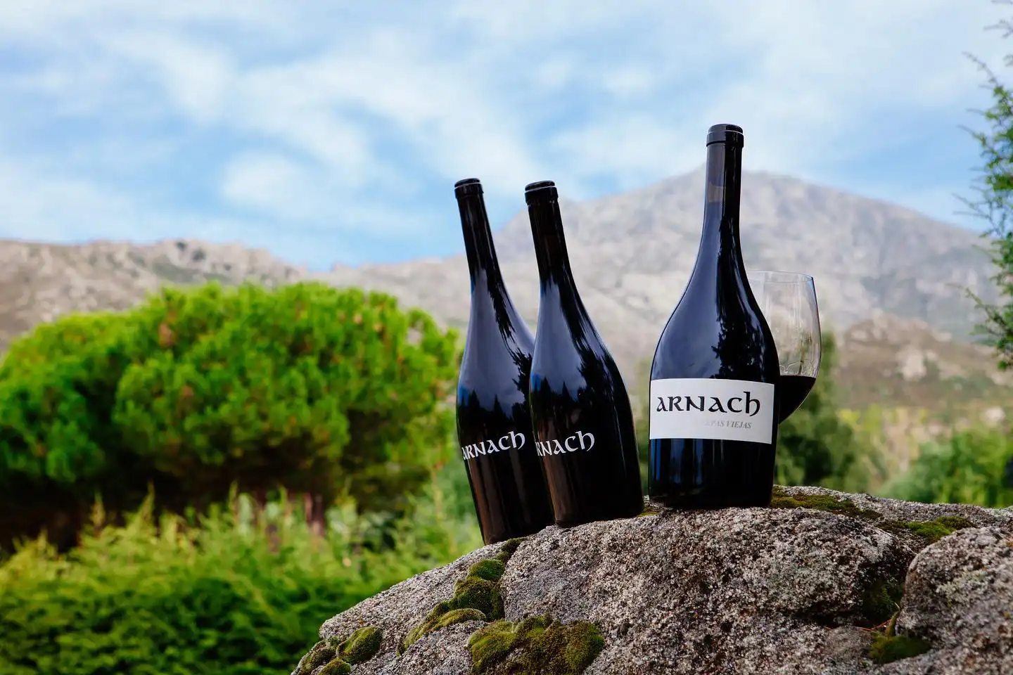 vinos DOP Cebreros Arnach Viñedos