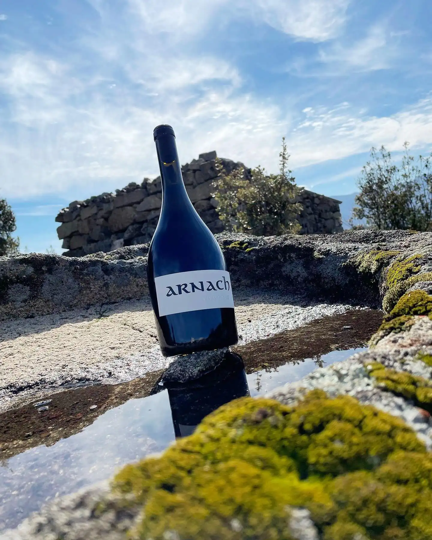 vino de uva garnacha DOP Cebreros