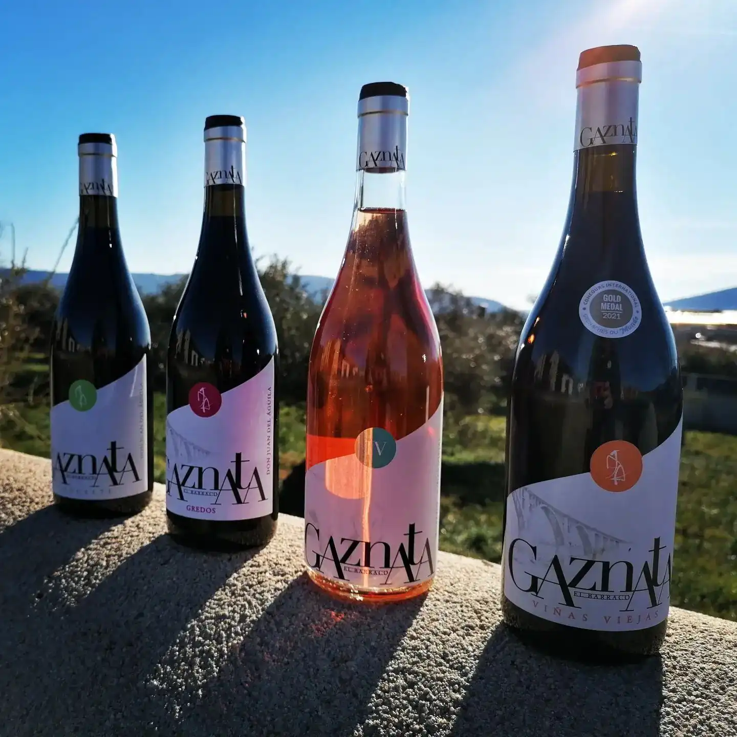 Vinos DOP Cebreros