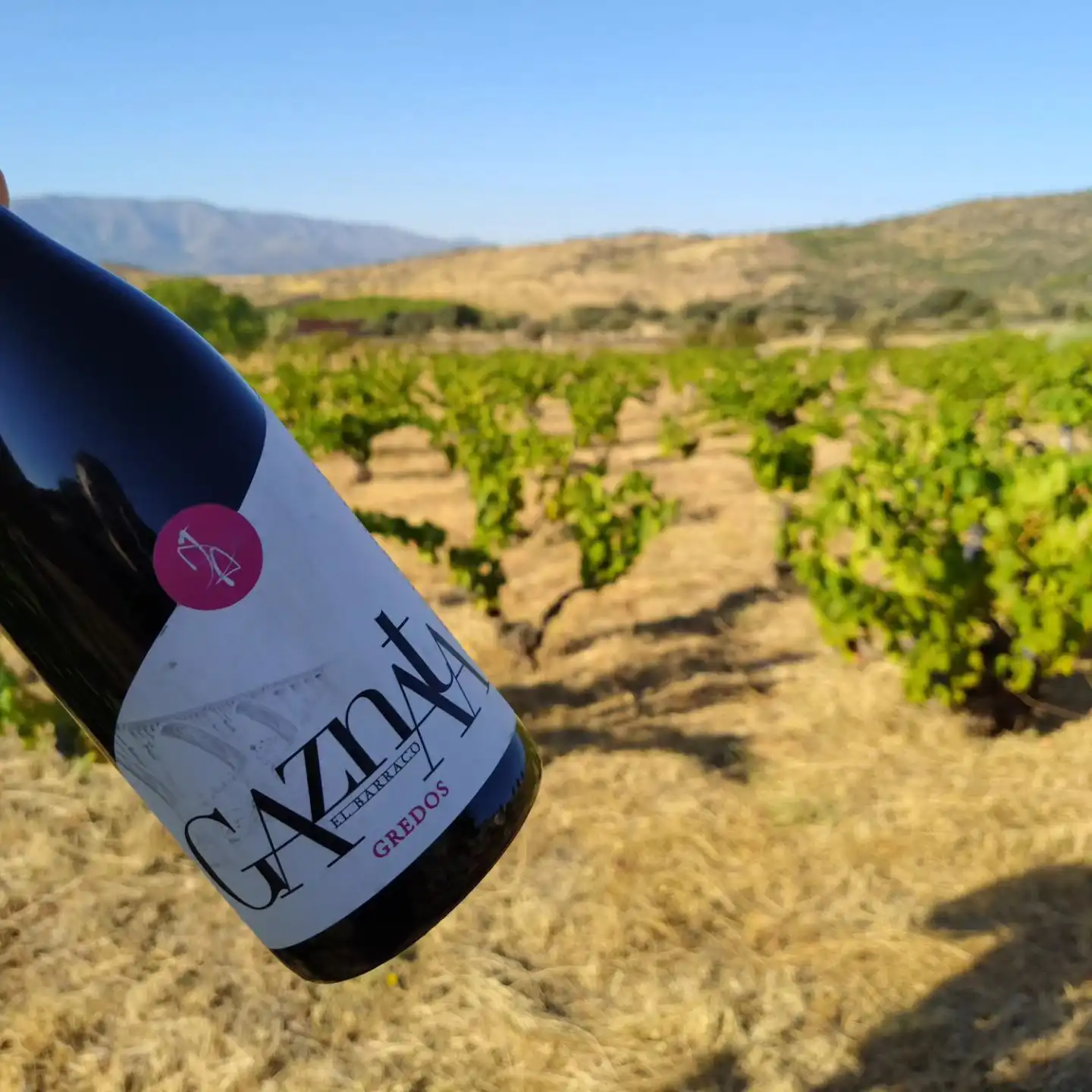 Bodega Don Juan del Aguila