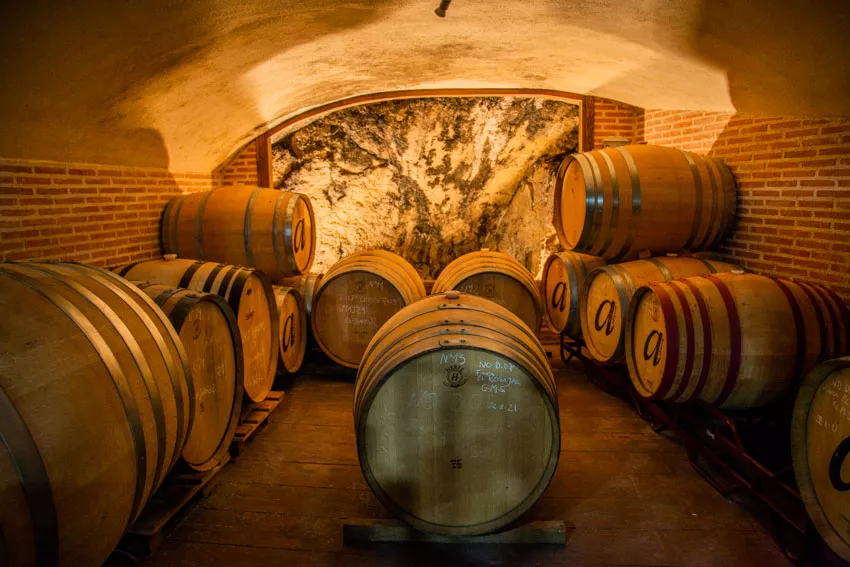 Bodegas Ausín