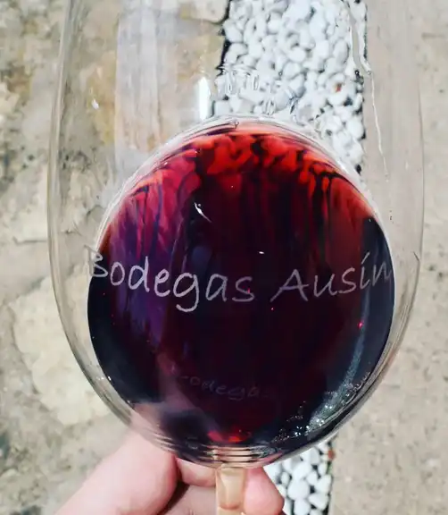 vino tinto de avila