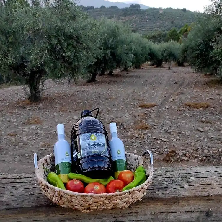 Los Llanos de Gredos, aceite de oliva virgen extra