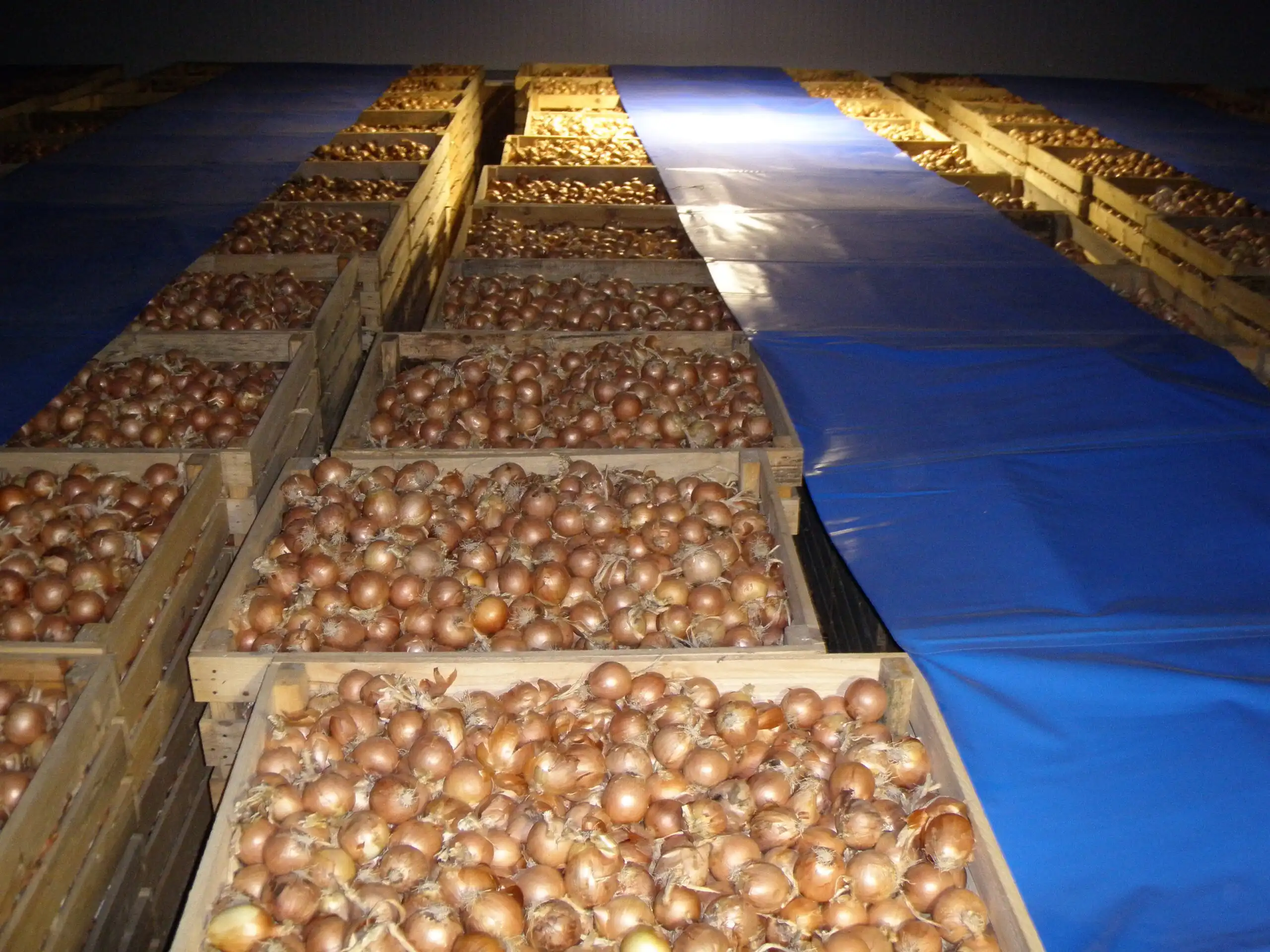 productores agricolas en avila