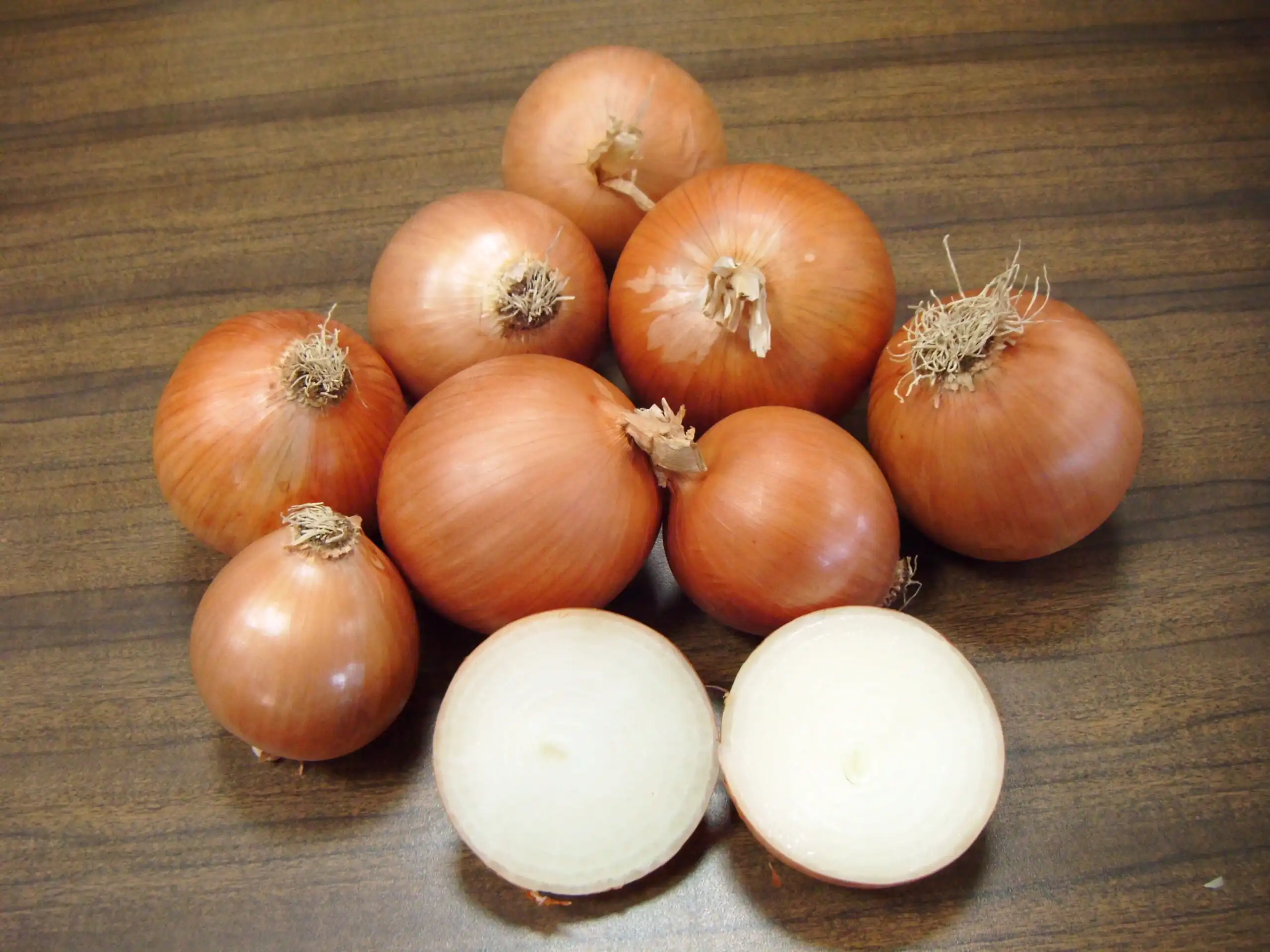 cebolla blanca hormoba