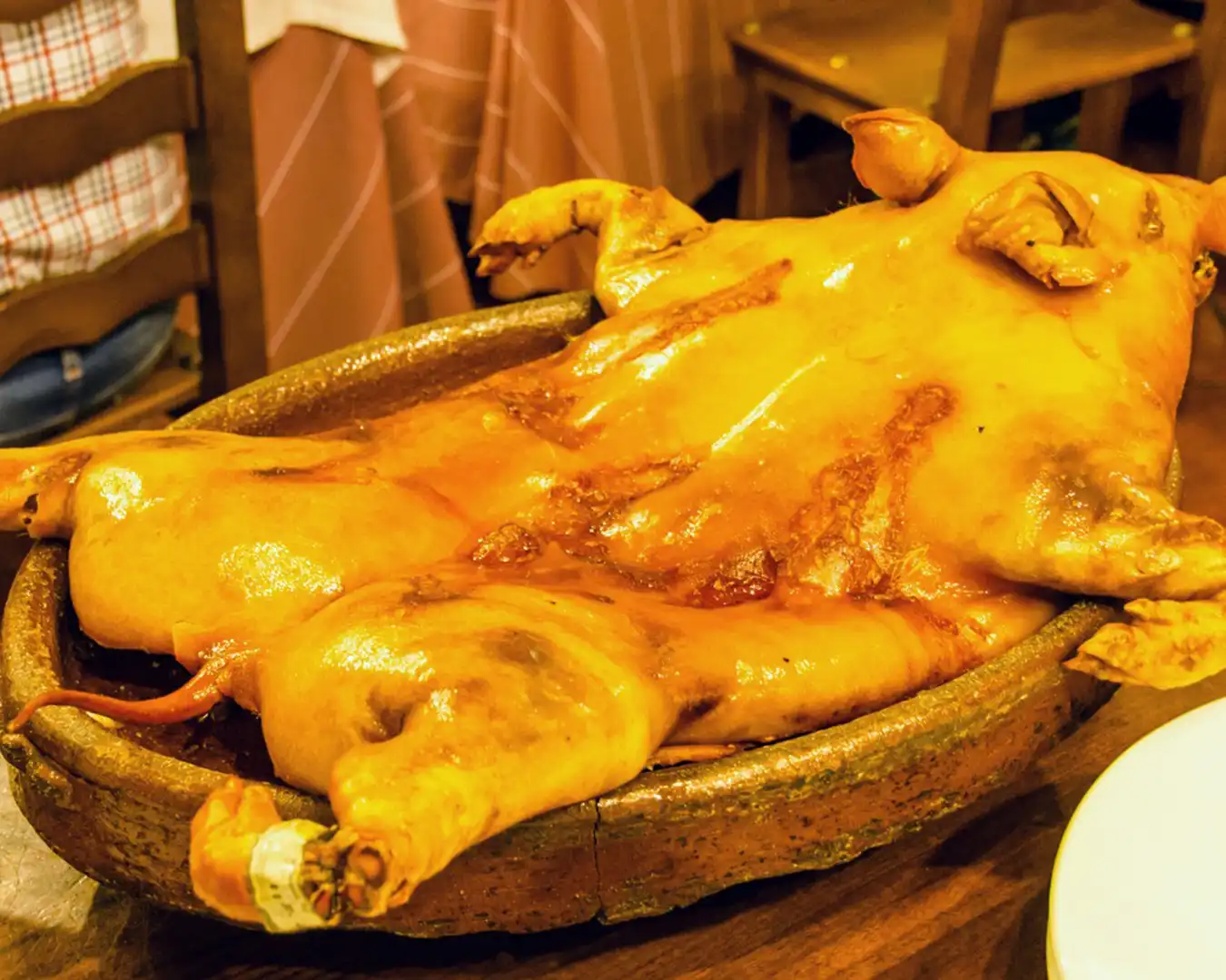 cochinillo tipico de avila