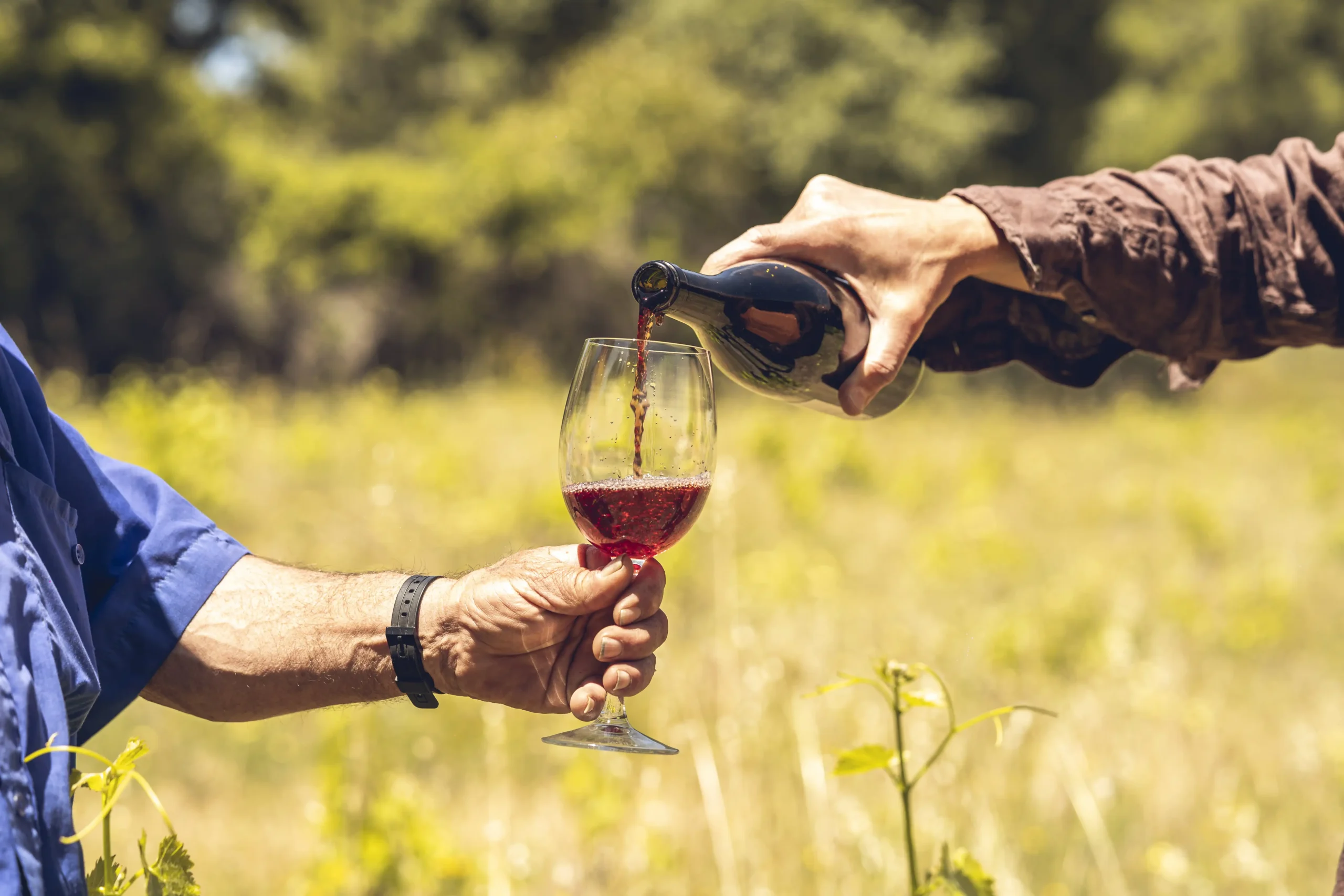 copa-vino-dop-cebreros-bodegas-daniel-ramos