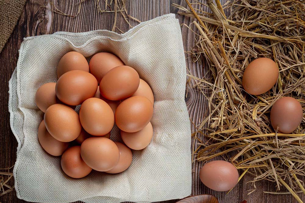 huevos ecologicos de la granja de ibai