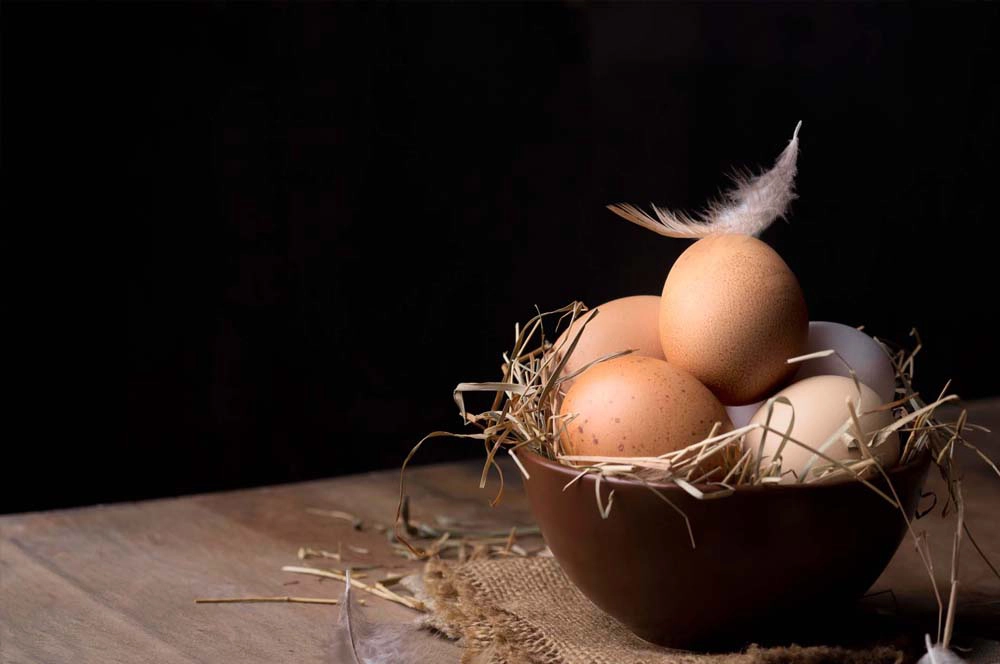 productor de huevos ecologicos