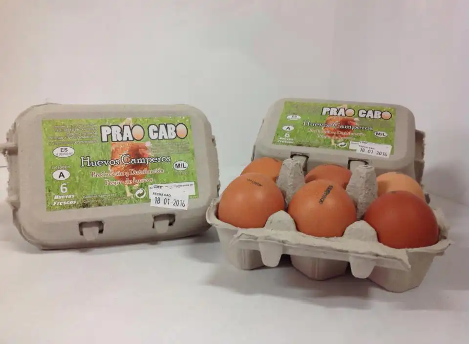 huevos camperos de la marca prao cabo
