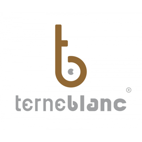 logo asociado Terneblanc Avila Autentica