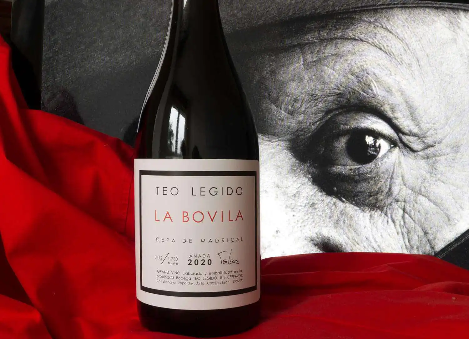 vino la bovilla cepa de madrigal
