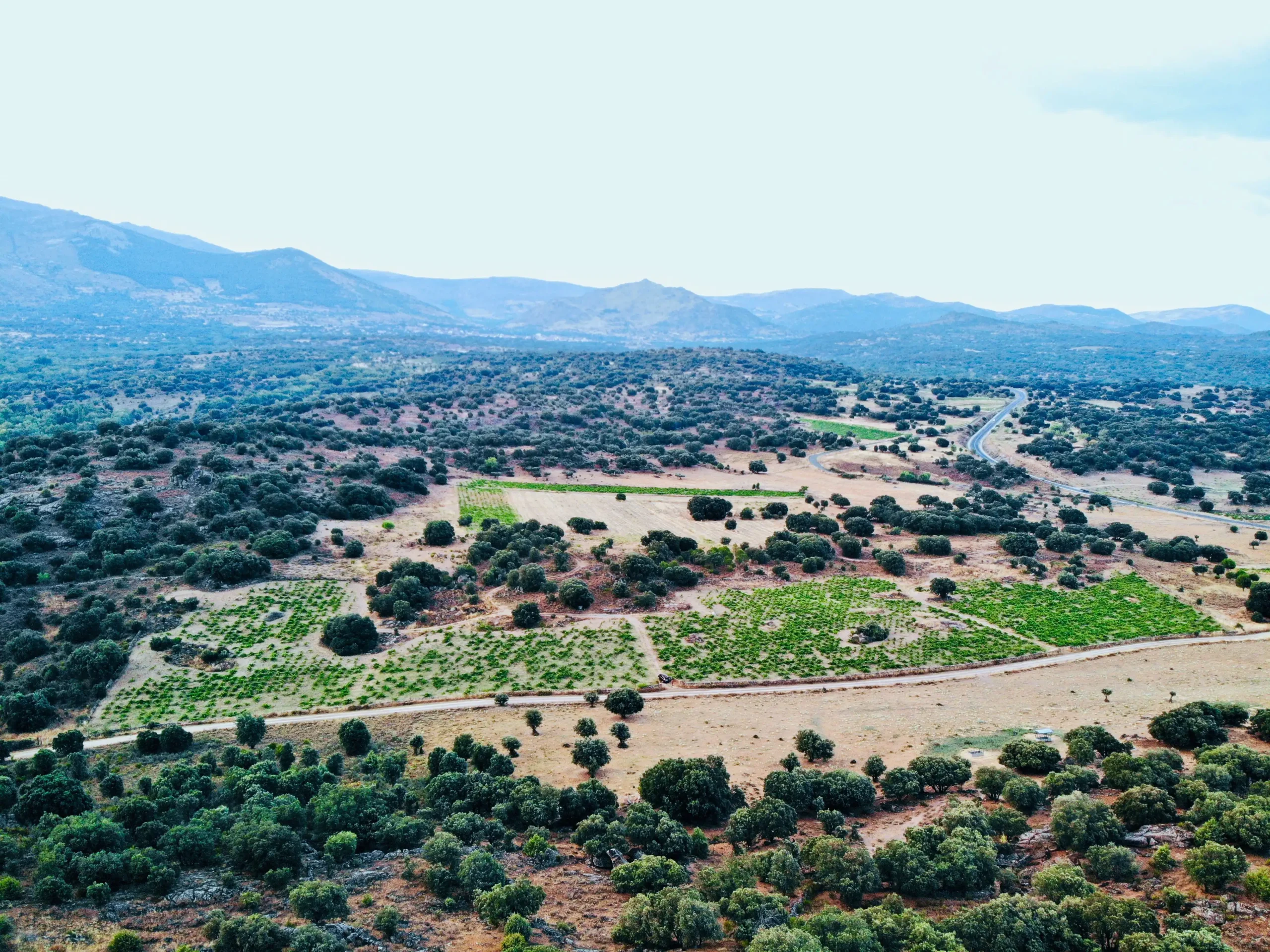 Bodega Nietos de Señora María