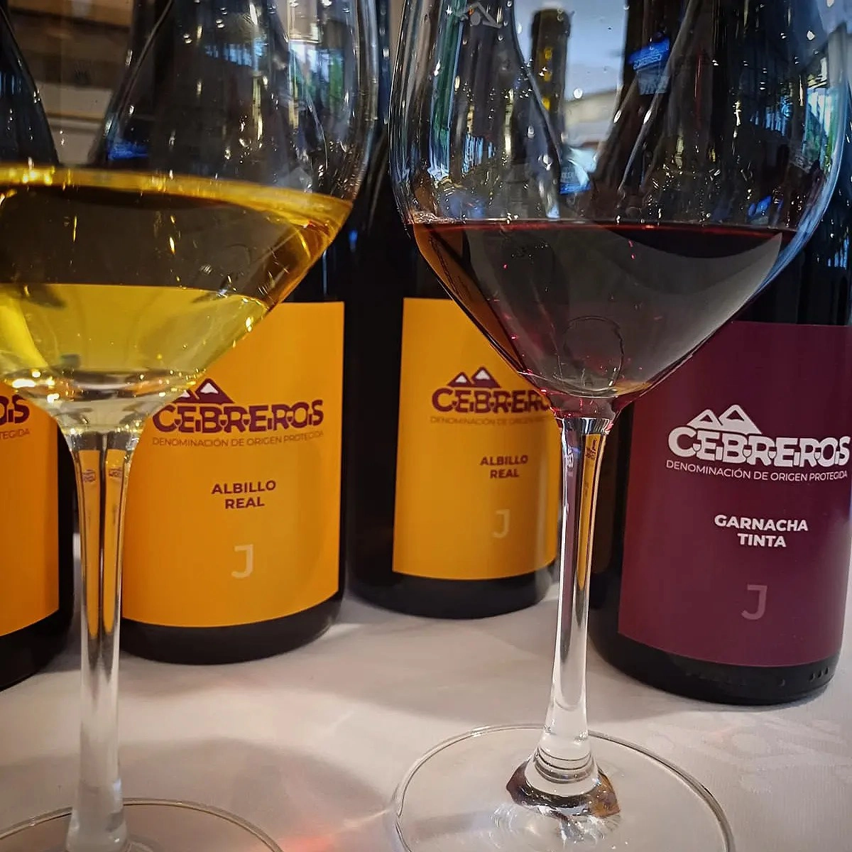 vinos dop cebreros asociacion