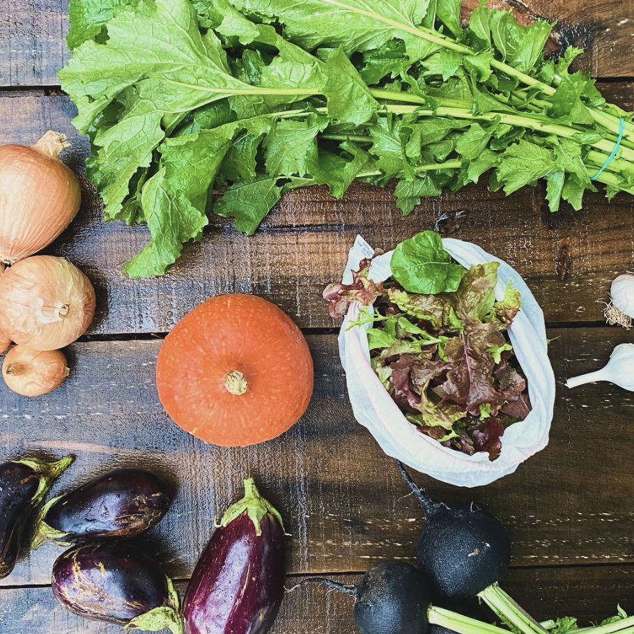 Frutas y verduras ecológicas cultivadas por Tierra Campesina