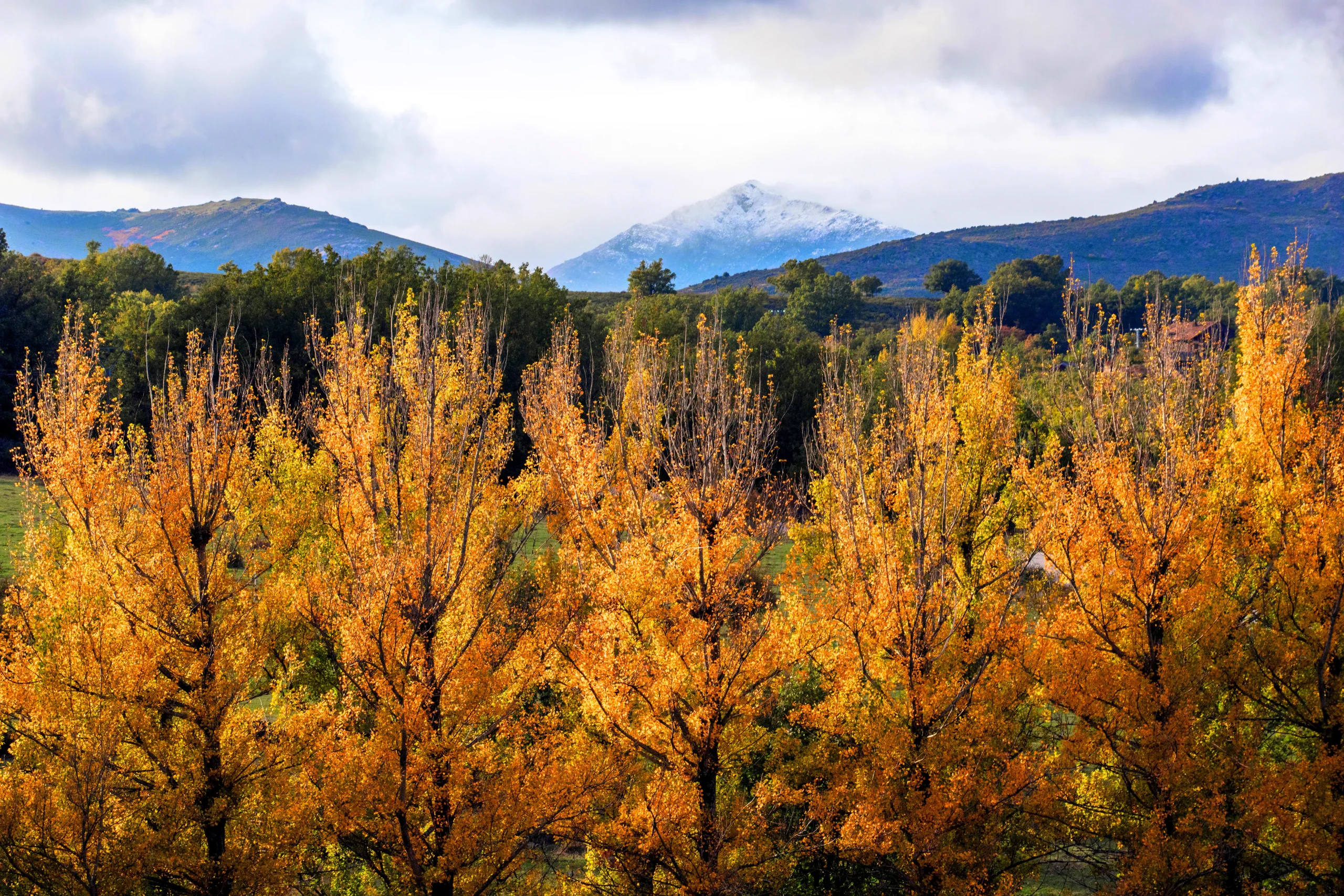 paisaje de otoño en Ávila